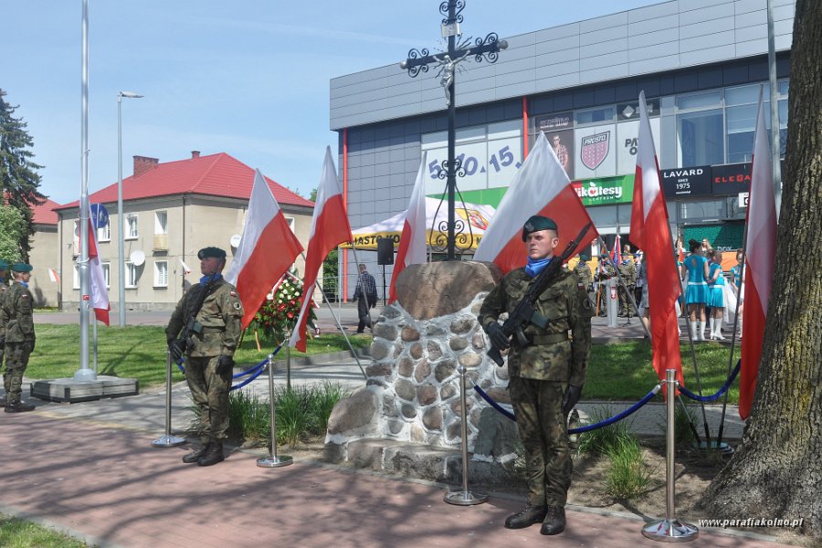 124 Patriotyczna manifestacja.jpg